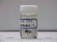 藏品(稻氏天竺鯛)的圖片